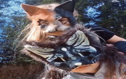 image 39