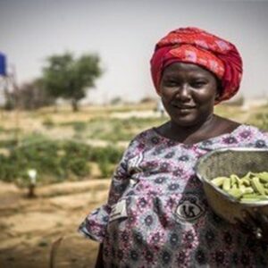 Partenariat BAD-Brésil pour l’agriculture, la santé et l’éducation en Afrique centrale