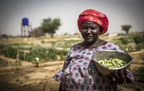 Partenariat BAD-Brésil pour l’agriculture, la santé et l’éducation en Afrique centrale