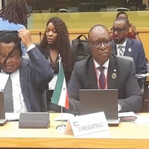 La dictature de Malabo lors de sa mise en scène diplomatique à Bruxelles